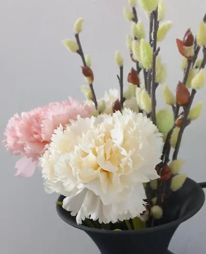 Belisima Deluxe 公寓