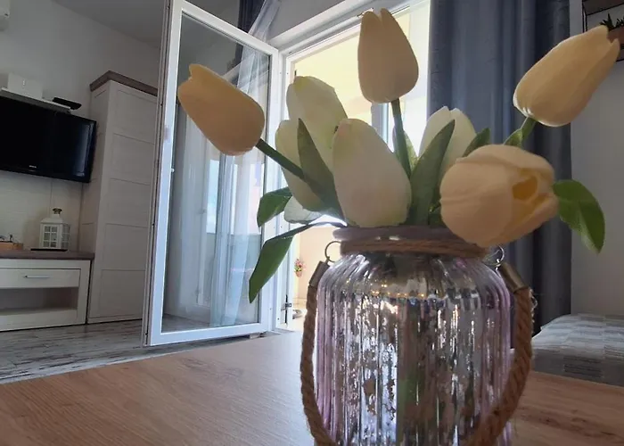 Belisima Deluxe * 苏佩塔斯卡德拉加